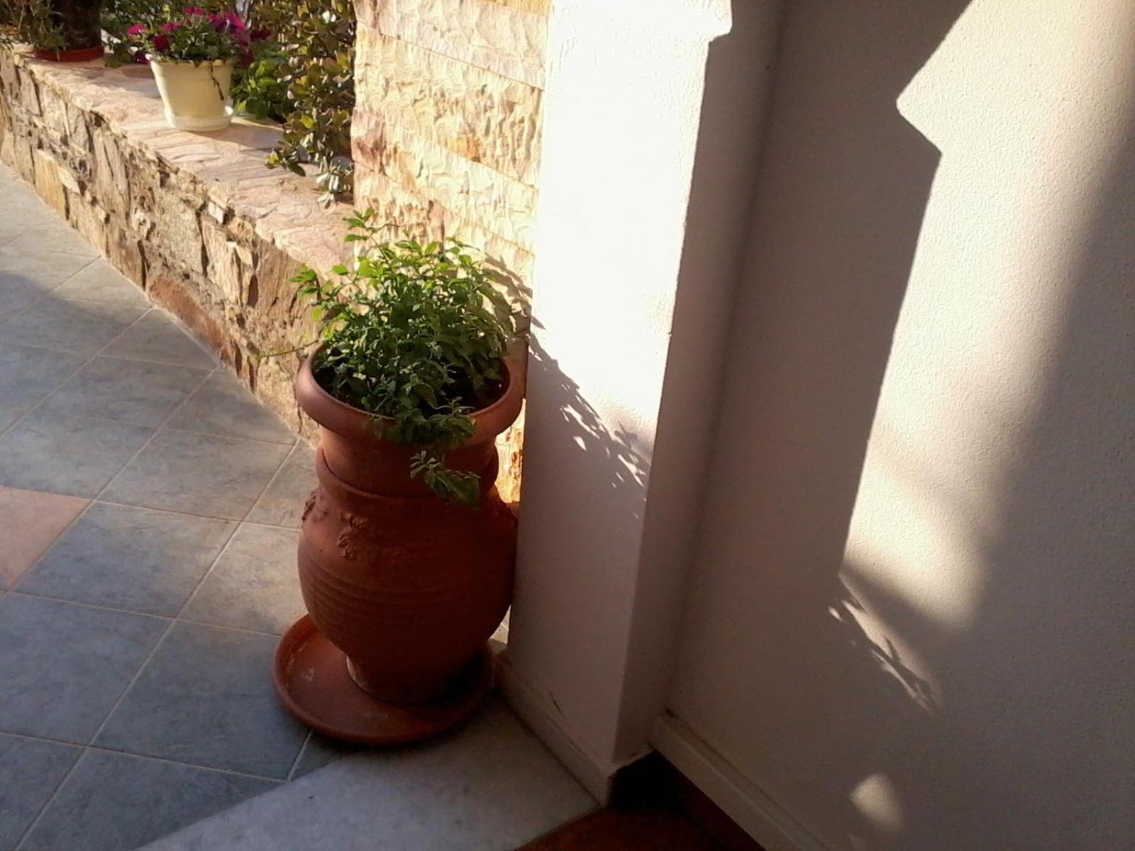 Acti Plaka Hotel Buitenkant foto