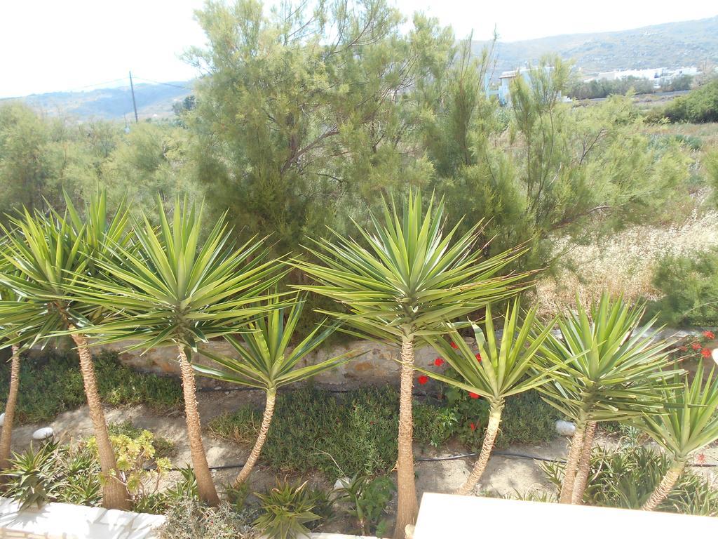Acti Plaka Hotel Buitenkant foto